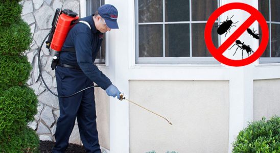 Mithatpaşa Kemirgen İlaçlama böcek ilaçlama ve haşere kontrolü — ilaclama-tr.com